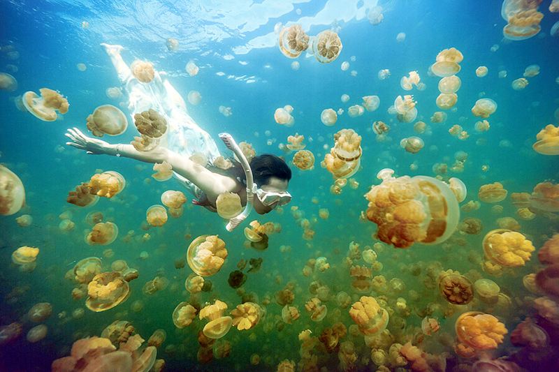 海外旅拍·帕劳